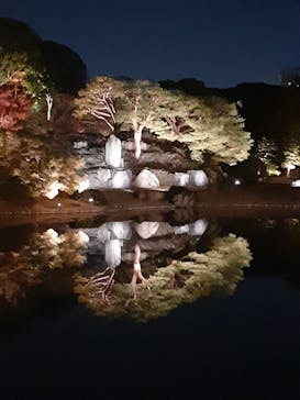 六義園に投稿された画像（2025/12/1）
