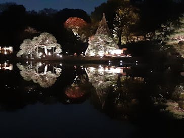 六義園に投稿された画像（2025/12/1）