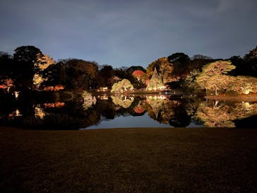 六義園に投稿された画像（2025/12/1）