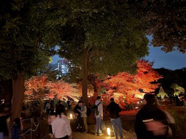 六義園に投稿された画像（2025/12/1）