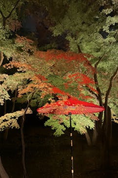 六義園に投稿された画像（2025/12/1）