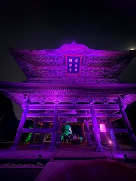 ZEN NIGHT WALK KAMAKURAに投稿された画像（2025/12/1）