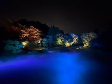 ZEN NIGHT WALK KAMAKURAに投稿された画像（2025/12/1）
