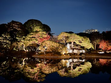 六義園に投稿された画像（2025/12/1）