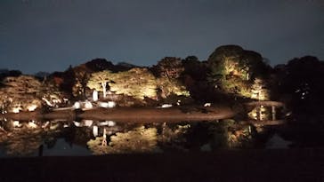 六義園に投稿された画像（2025/12/1）