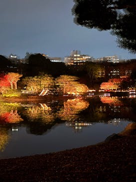 六義園に投稿された画像（2025/12/1）