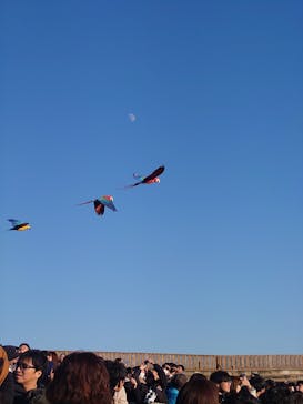 那須どうぶつ王国に投稿された画像（2025/12/1）