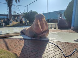 南知多ビーチランド＆南知多おもちゃ王国に投稿された画像（2025/12/1）