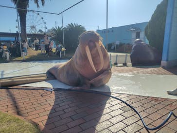 南知多ビーチランド＆南知多おもちゃ王国に投稿された画像（2025/12/1）