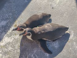 南知多ビーチランド＆南知多おもちゃ王国に投稿された画像（2025/12/1）