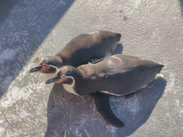 南知多ビーチランド＆南知多おもちゃ王国に投稿された画像（2025/12/1）