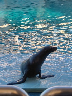 南知多ビーチランド＆南知多おもちゃ王国に投稿された画像（2025/12/1）