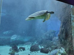 南知多ビーチランド＆南知多おもちゃ王国に投稿された画像（2025/12/1）