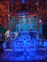 南知多ビーチランド＆南知多おもちゃ王国に投稿された画像（2025/12/1）