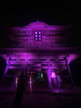 ZEN NIGHT WALK KAMAKURAに投稿された画像（2025/12/1）