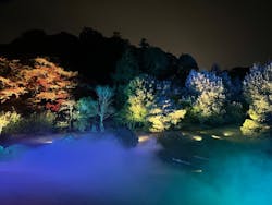 ZEN NIGHT WALK KAMAKURAに投稿された画像（2025/12/1）