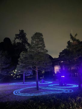 ZEN NIGHT WALK KAMAKURAに投稿された画像（2025/12/1）