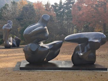 彫刻の森美術館に投稿された画像（2025/12/1）