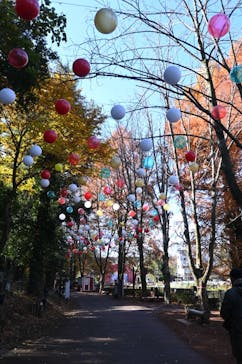 ムーミンバレーパークに投稿された画像（2025/12/1）