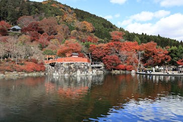 勝尾寺に投稿された画像（2025/12/1）