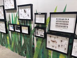 PLAY! PARK ERIC CARLEに投稿された画像（2025/12/1）