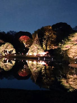 六義園に投稿された画像（2025/12/1）