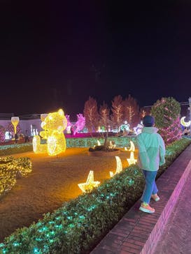 神戸イルミナージュに投稿された画像（2025/12/1）