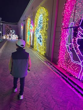 神戸イルミナージュに投稿された画像（2025/12/1）