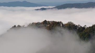 備北タクシー高梁営業所に投稿された画像（2025/12/1）