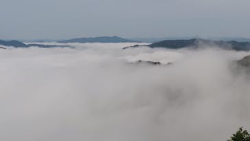 備北タクシー高梁営業所に投稿された画像（2025/12/1）