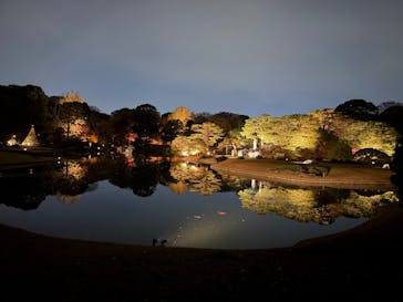 六義園に投稿された画像（2025/12/1）