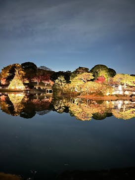 六義園に投稿された画像（2025/12/1）