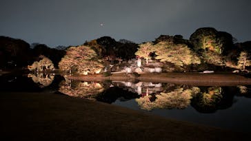 六義園に投稿された画像（2025/12/1）