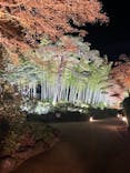 国営昭和記念公園 秋の夜散歩に投稿された画像（2025/12/2）