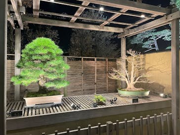 国営昭和記念公園 秋の夜散歩に投稿された画像（2025/12/2）