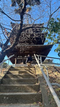 三溪園に投稿された画像（2025/12/2）