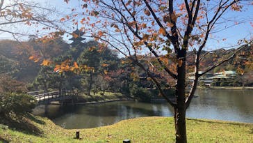 三溪園に投稿された画像（2025/12/2）