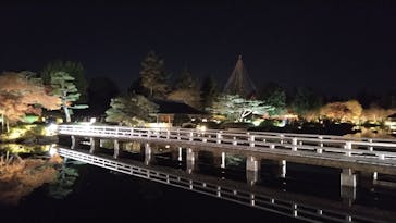 国営昭和記念公園 秋の夜散歩に投稿された画像（2025/12/2）