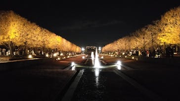 国営昭和記念公園 秋の夜散歩に投稿された画像（2025/12/2）