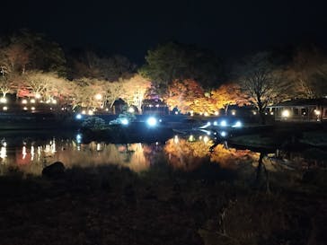 修善寺虹の郷に投稿された画像（2025/12/2）