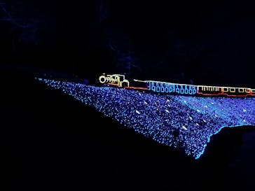 修善寺虹の郷に投稿された画像（2025/12/2）