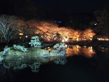 修善寺虹の郷に投稿された画像（2025/12/2）