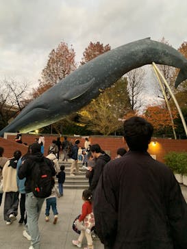 国立科学博物館に投稿された画像（2025/12/2）