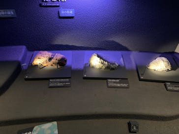 国立科学博物館に投稿された画像（2025/12/2）