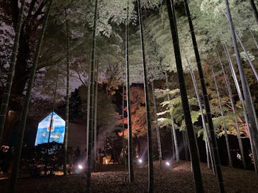 六義園に投稿された画像（2025/12/2）