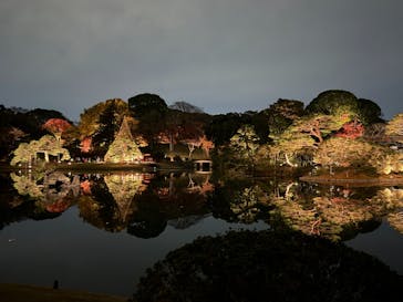 六義園に投稿された画像（2025/12/2）