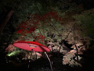 六義園に投稿された画像（2025/12/2）