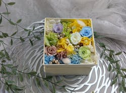 ずこうしつ〜sugamo〜に投稿された画像（2025/12/2）