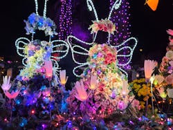 ひらかたパークに投稿された画像（2025/12/2）