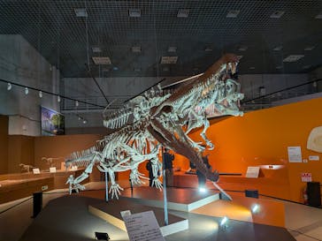 特別展「大絶滅展―生命史のビッグファイブ」に投稿された画像（2025/12/2）